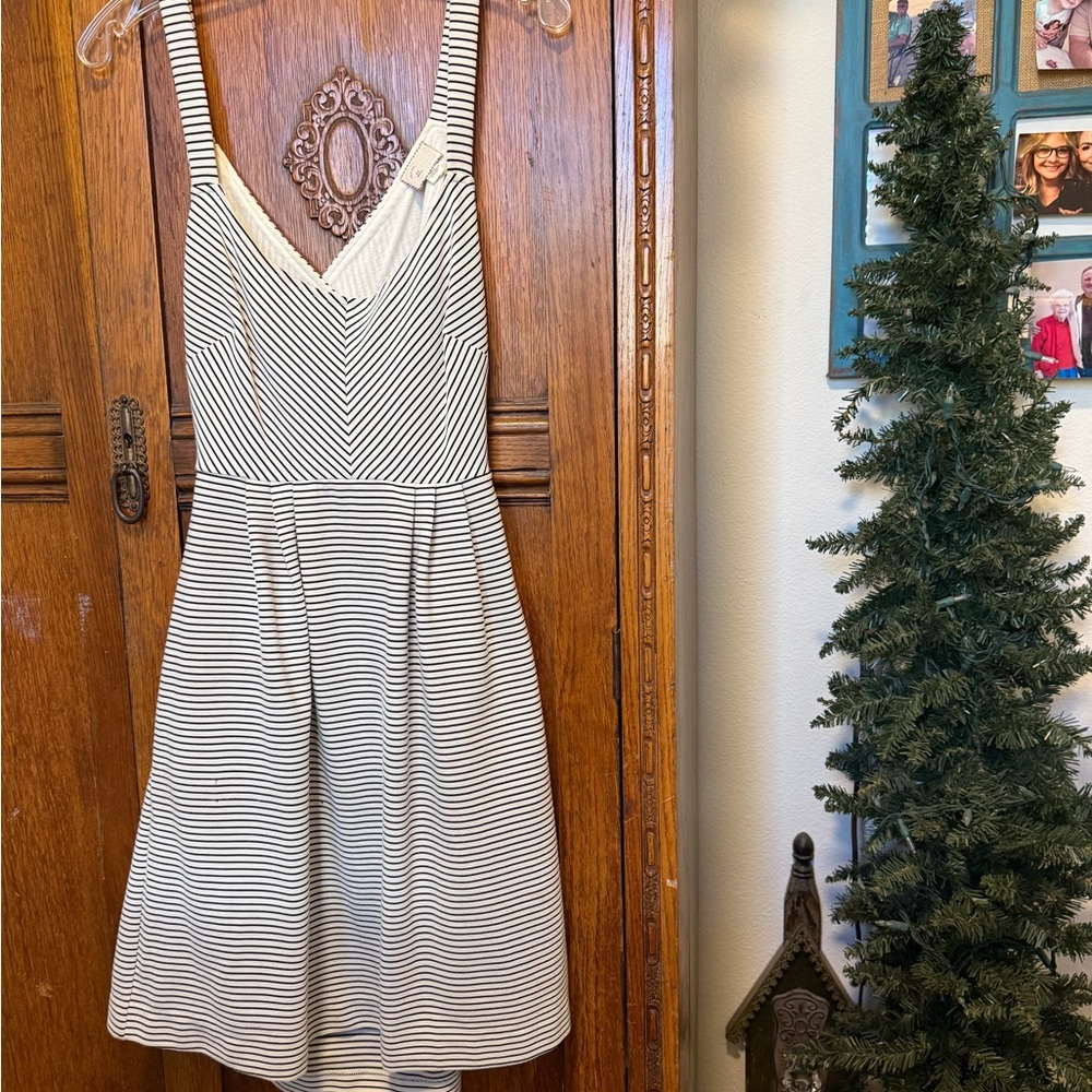 Striped Black and White Dress